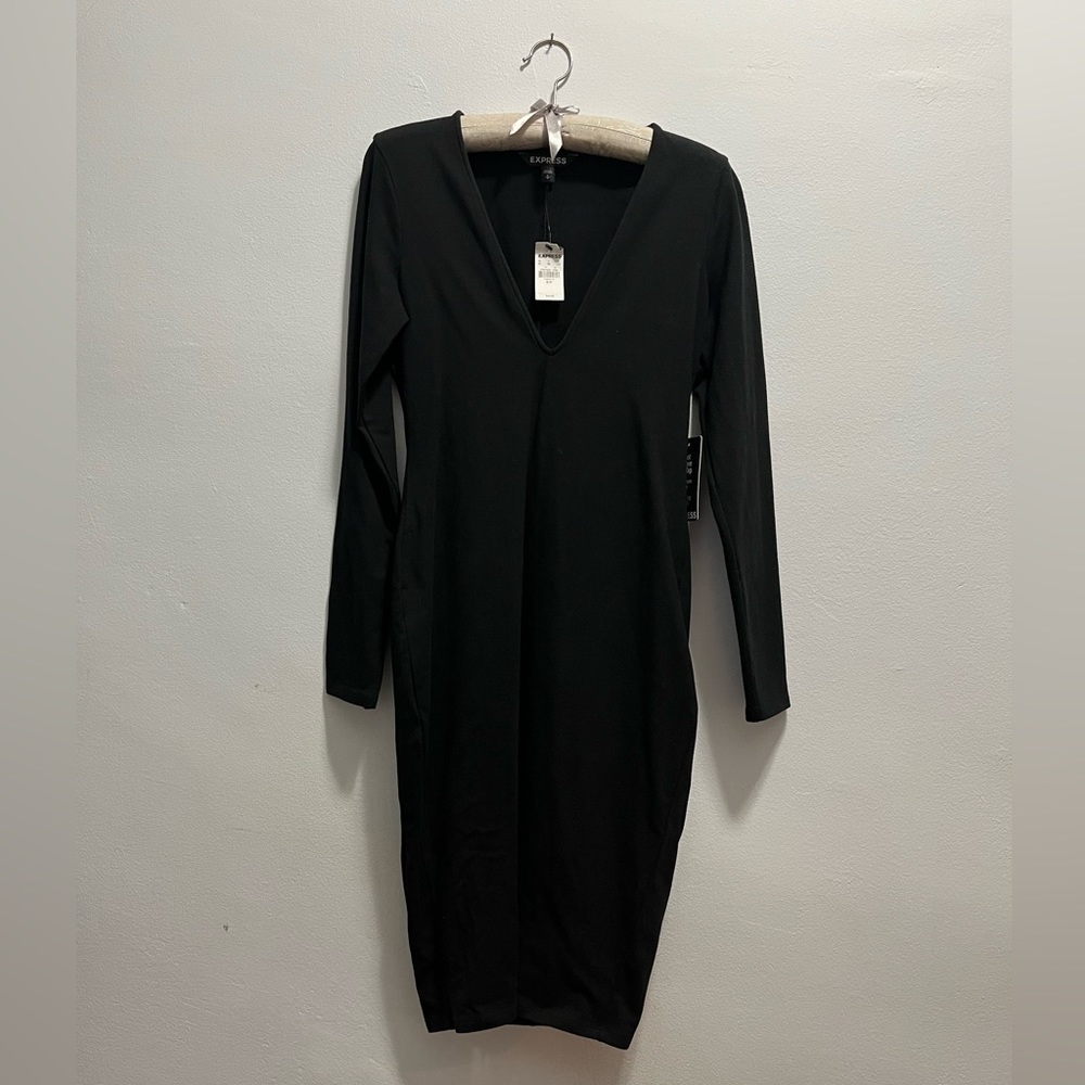 Express long sleeve dress